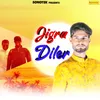 About Jigra Diler Song